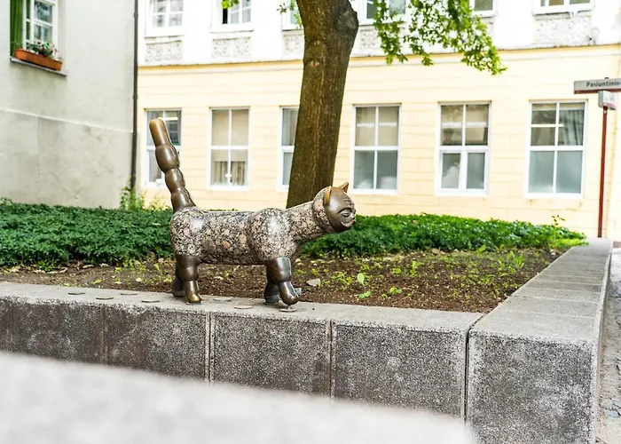 Old Town Cat Daire *