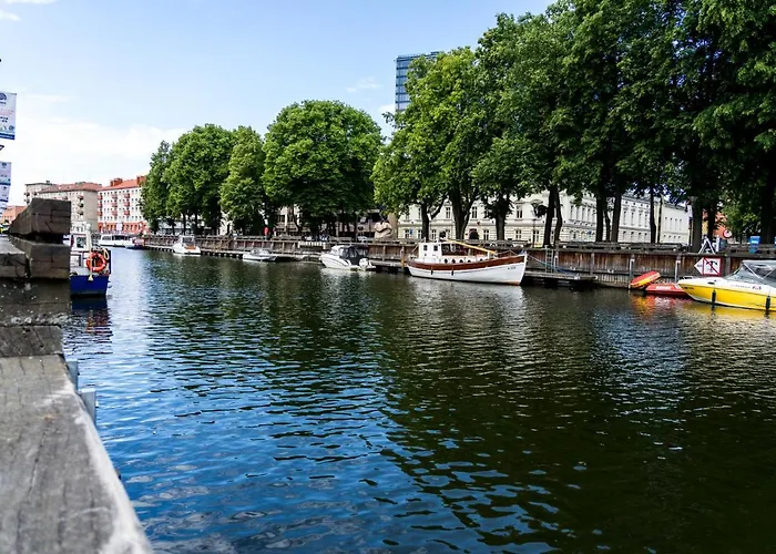 Old Town Cat Klaipėda